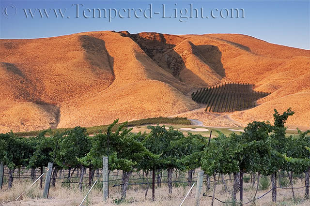 Another Beautiful Day in Wine Country
