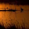 River Sunset