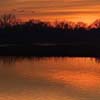 Cosumnes River Preserve Sunset