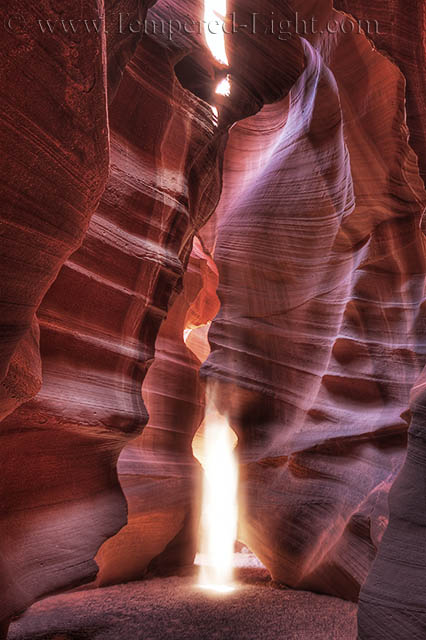 Spirit in the Canyon