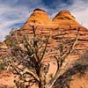 North Coyote Buttes