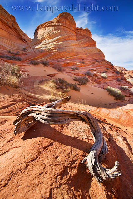 Weathered Curves