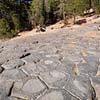 Nature's Floor Tiles