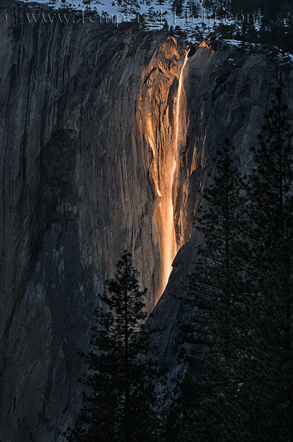Firefall