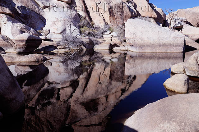 Barker Dam Reflection