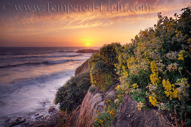 Pescadero Sunset