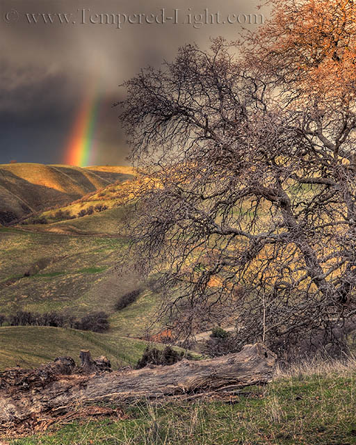 Storm Light
