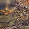 Storm Light