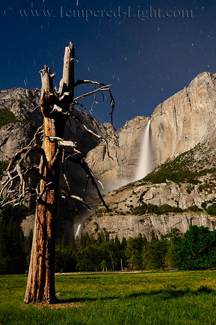 Yosemite Moonlight