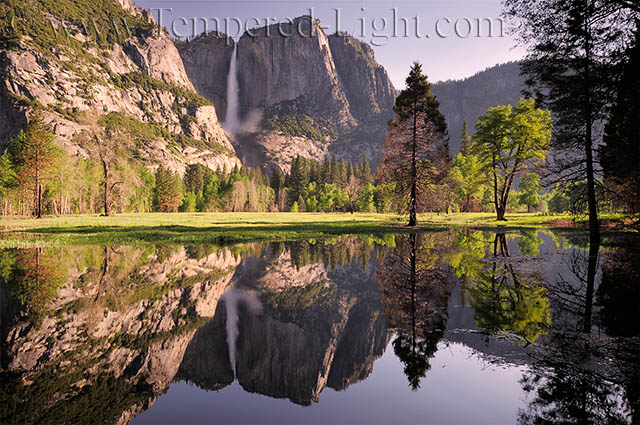 Yosemite Valley Morning