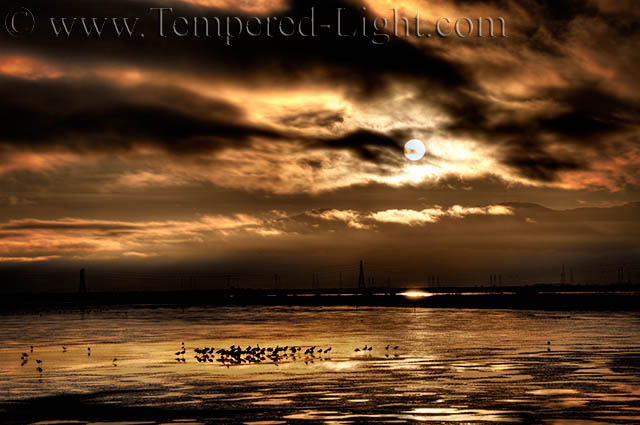 Palo Alto Baylands II