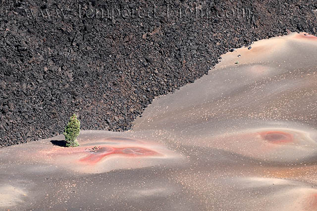 Fantastic Lava Beds Detail
