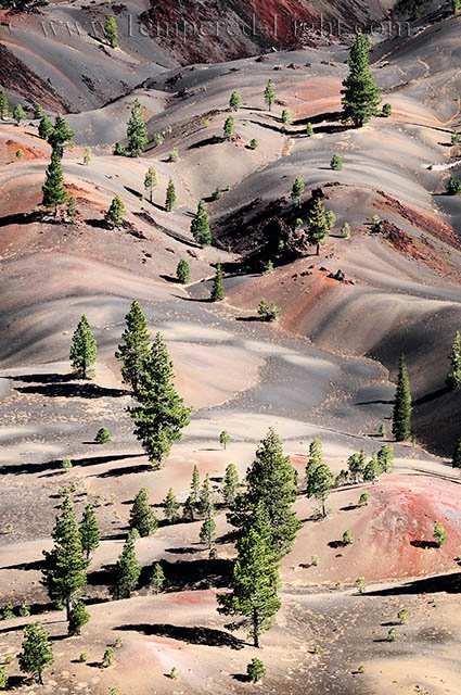 The Painted Dunes