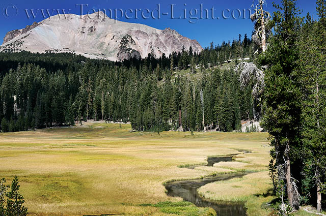 Mt. Lassen from Upper Meadow