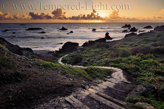 Welcome to Tempered-Light!