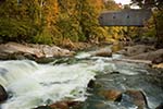 Northeast Fall Colors