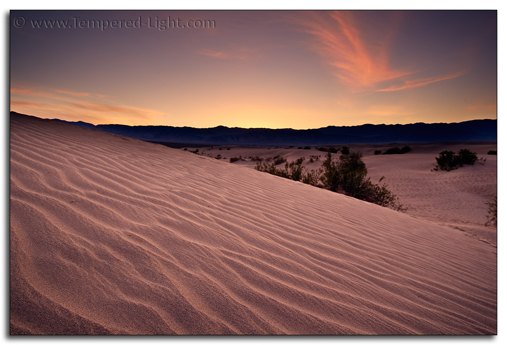 Sunset Mesquite Flats